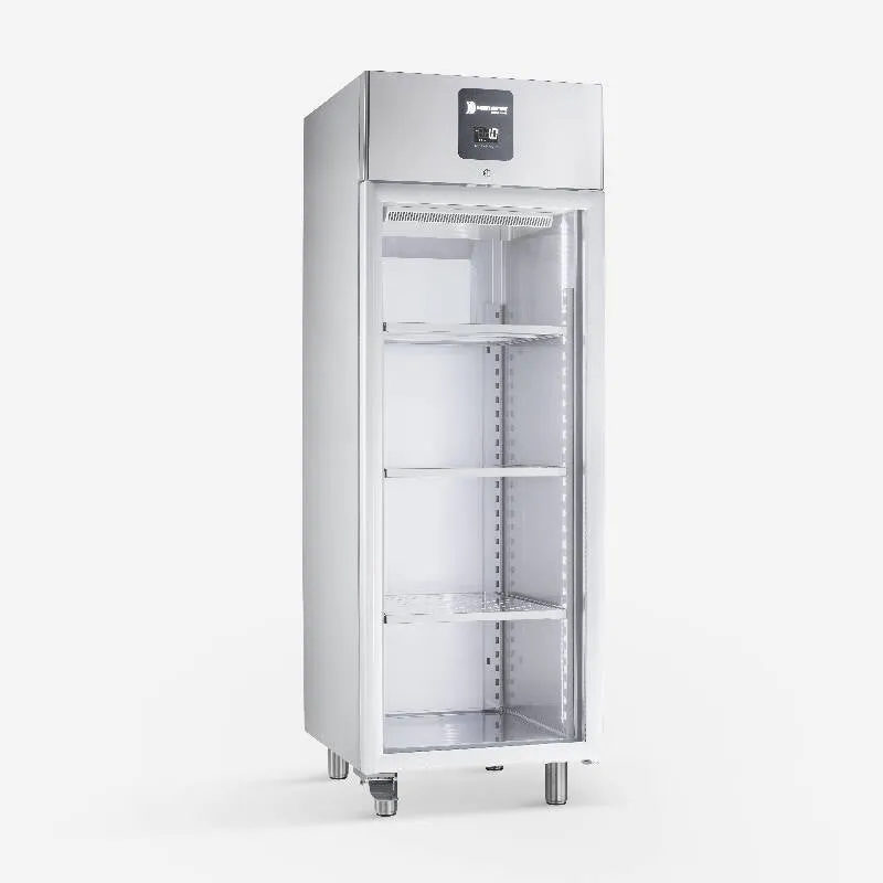 Armadio stagionatore, Samaref mod. DE 700 P RF PV , -2 /+10