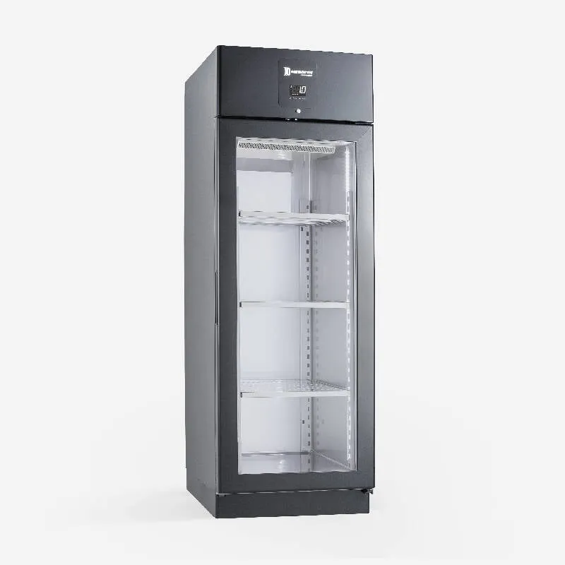 Armadio stagionatore nero, Samaref mod. DE 700 P RF PV BK , -2 /+10