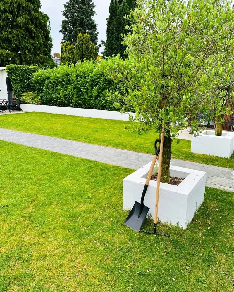 Shovel Deluxe