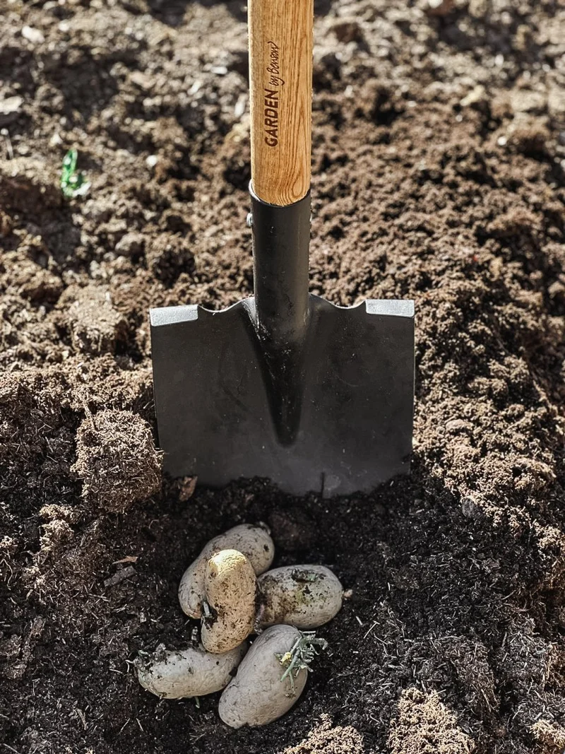 Pointed garden spade Deluxe