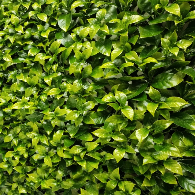 Parete con piante artificiali per giardino verticale 100x100 cm - Gardenia