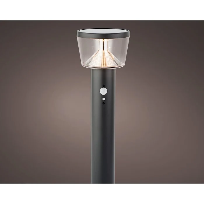 Pick da giardino in acciaio inox con LED a luce solare 54 cm