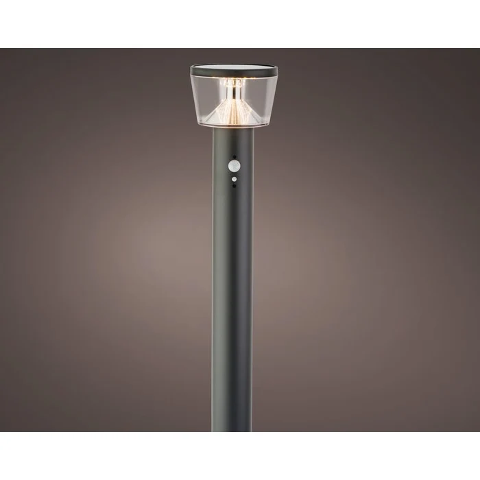 Pick da giardino in acciaio inox con LED a luce solare 94 cm