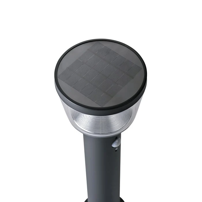 Pick da giardino in acciaio inox con LED a luce solare 94 cm