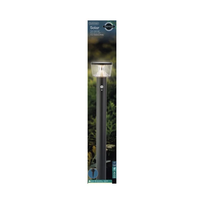Pick da giardino in acciaio inox con LED a luce solare 94 cm
