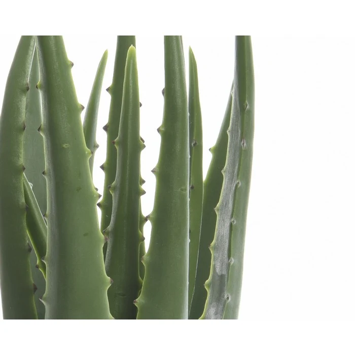 Pianta artificiale di aloe in vaso
