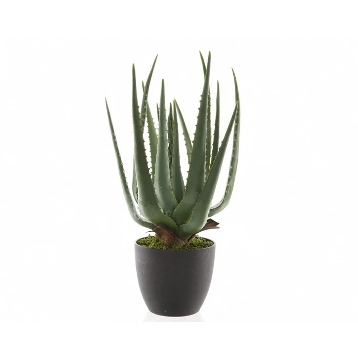 Pianta artificiale di aloe in vaso