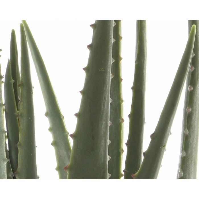Pianta artificiale di aloe in vaso