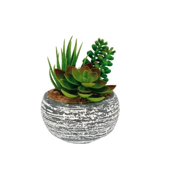 Vaso decorativo con piantine grasse artificiali