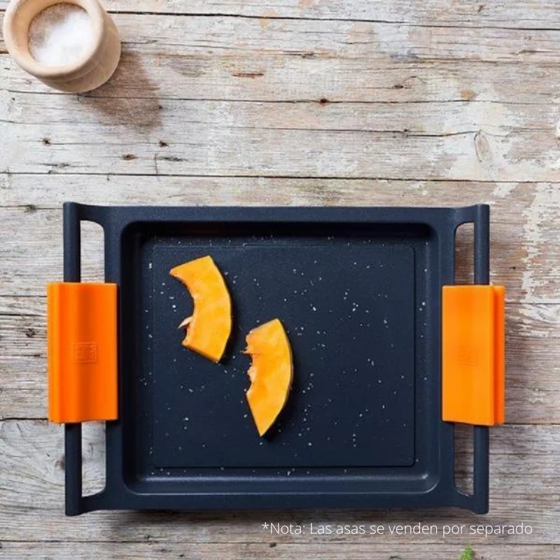 Plancha lisa Efficient