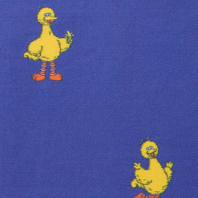 Sesame Street Big Bird Apron - Essential