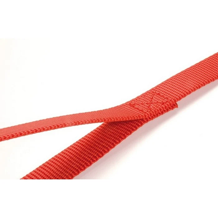 Guinzaglio per cani in nylon 100 cm M - Basic