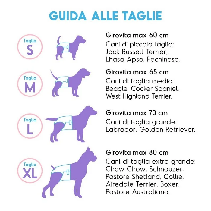 Pannolini assorbenti per cani con fascia elastica 12 pezzi - Assorbipiù