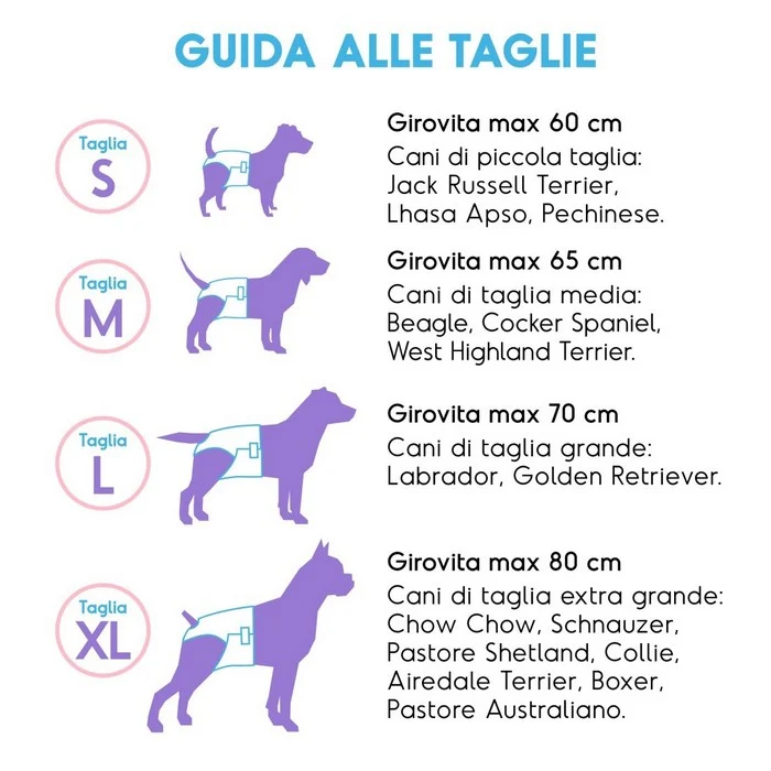 Pannolini assorbenti per cani con fascia elastica 12 pezzi - Assorbipiù