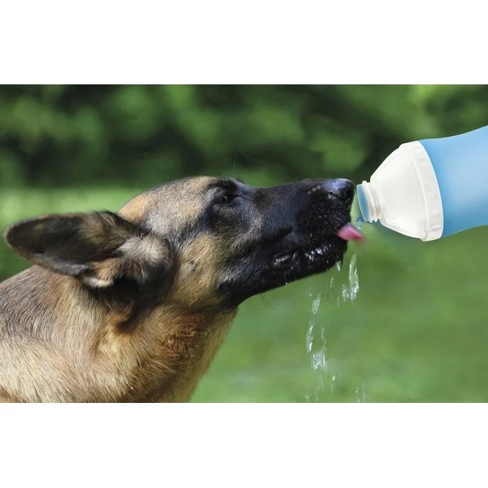 Dispenser di acqua e cibo da viaggio 2in1 per cani 400 ml - Bubble