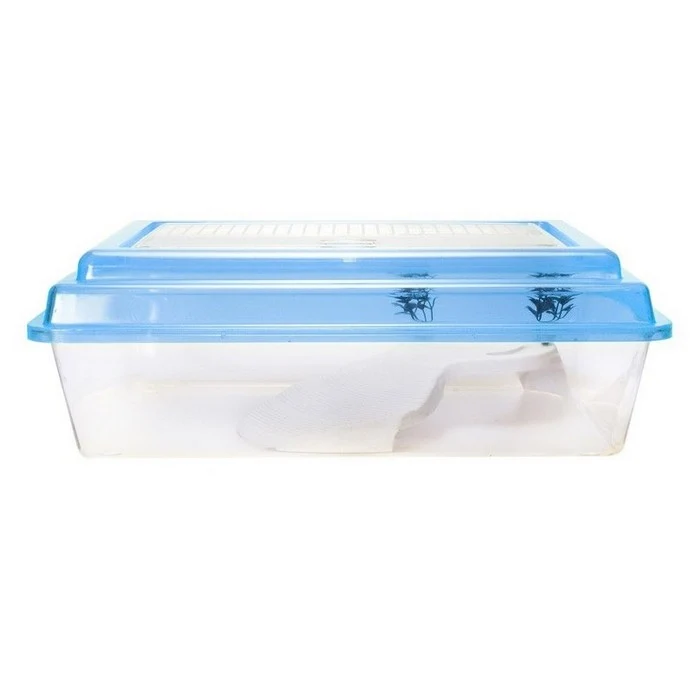 Tartarughiera in plastica con coperchio