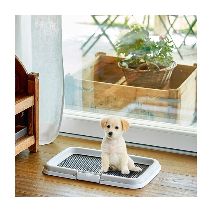 Lettiera toilette puppy training set