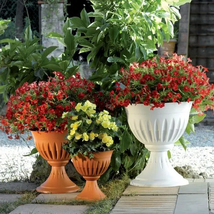 Vaso tondo a calice - Alba