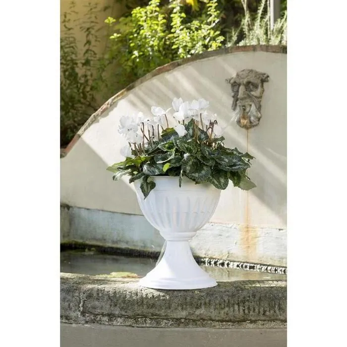 Vaso tondo a calice - Alba