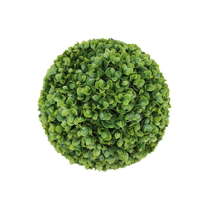 Bosso artificiale sempreverde