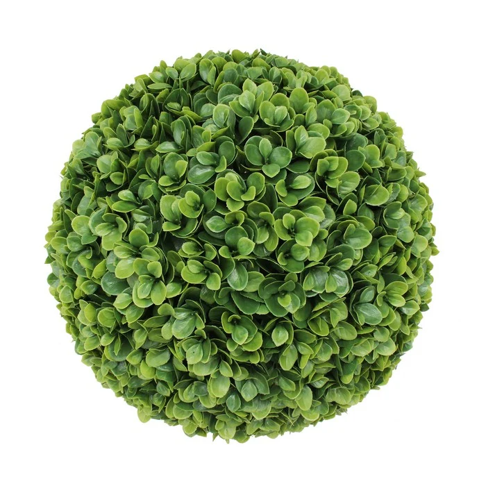 Bosso artificiale sempreverde