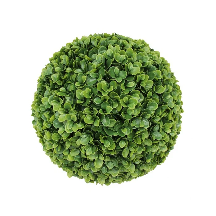 Bosso artificiale sempreverde