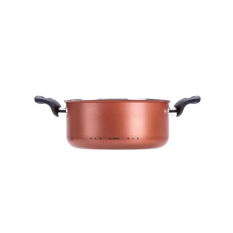 Moneta ZECCHINO CASSERUOLA