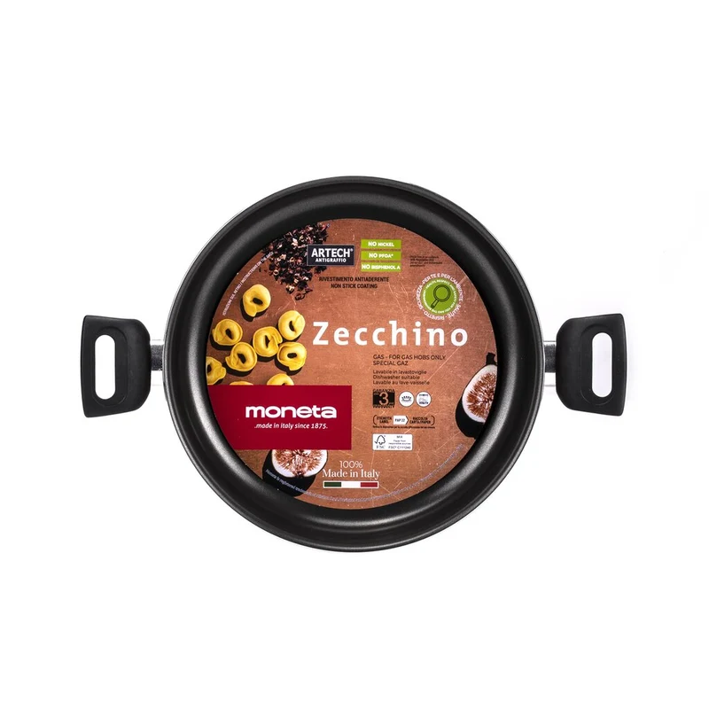 Moneta ZECCHINO TEGAME