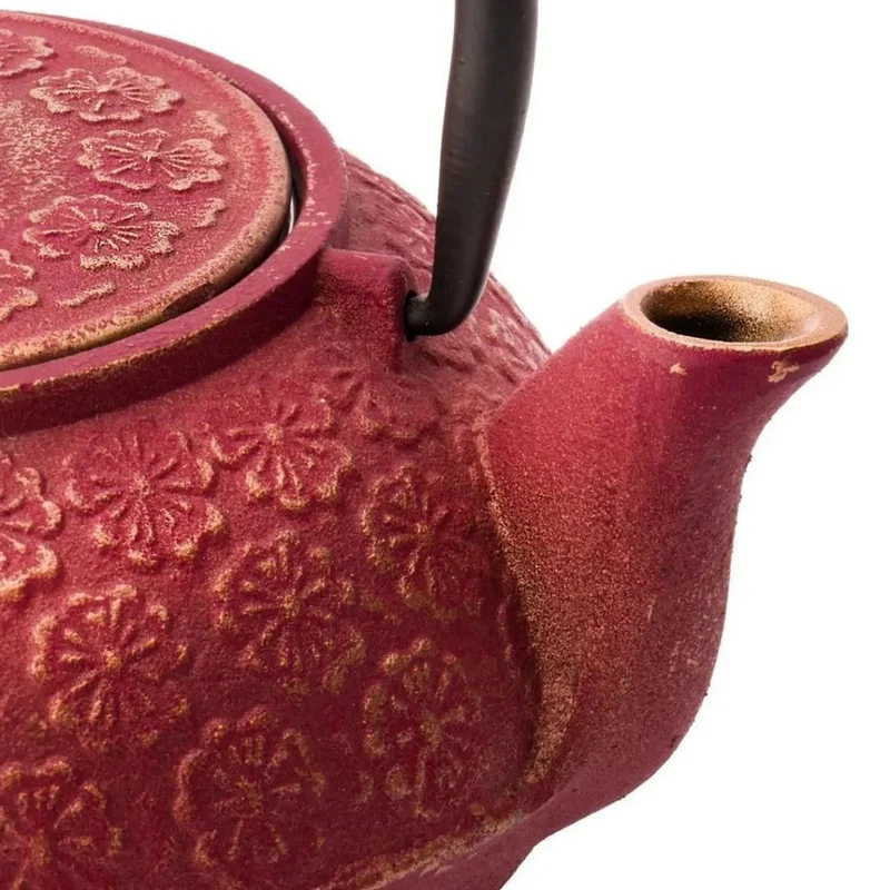 Set de té de hierro fundido con tetera y dos tazas Shanghai Bredemeijer