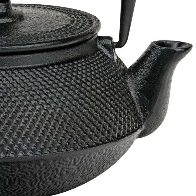 Tetera de hierro fundido Jang Bredemeijer