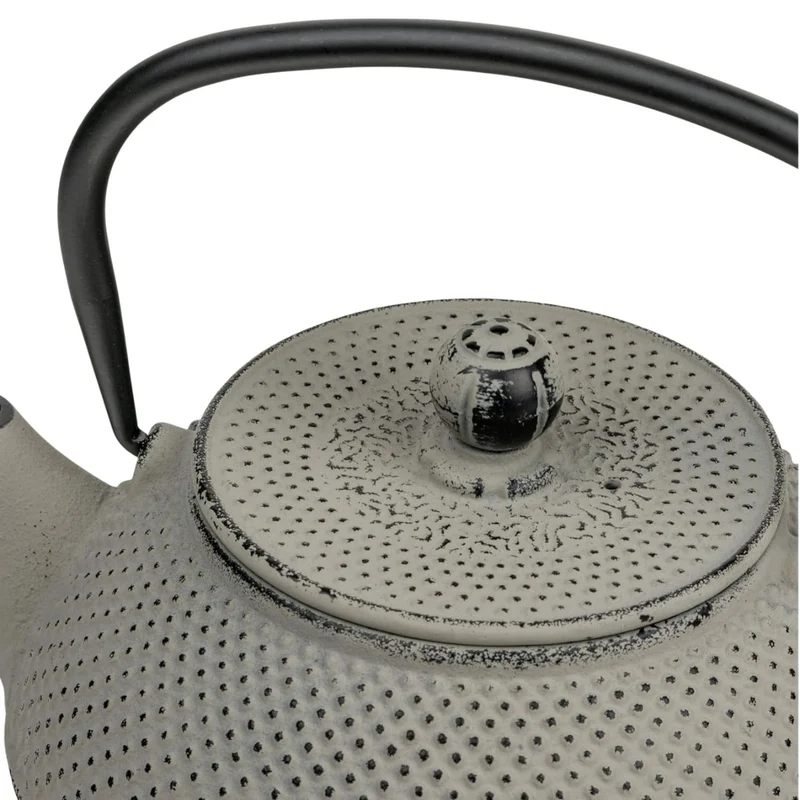 Tetera de hierro fundido Jang Bredemeijer