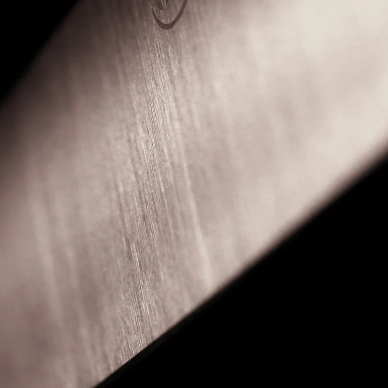 Cuchillos de cocina Signature Dumas Sabatier®
