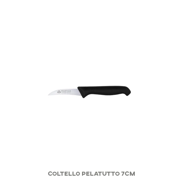 Set coltelleria cucina acciaio 21 pezzi Italia - Laminex