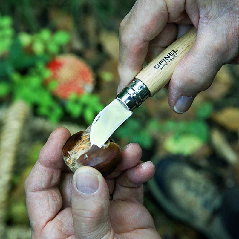 Pack sartén para castañas De Buyer y cuchillo para castañas Opinel