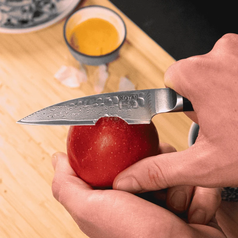 Cuchillos de acero damasco japonés Pakka Damas Kotai