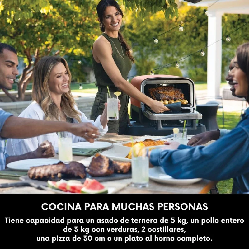 Horno eléctrico exterior de pellet Woodfire Ninja®