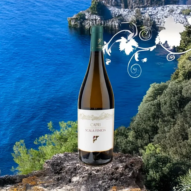 Bianco Capri DOC 2023 Scala Fenicia