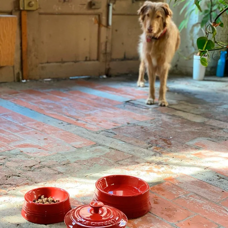 Bol cerámico para mascotas Le Creuset