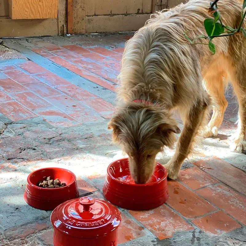 Bol cerámico para mascotas Le Creuset