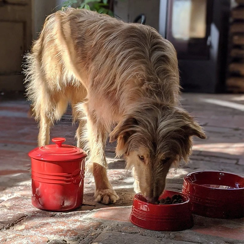 Bol cerámico para mascotas Le Creuset