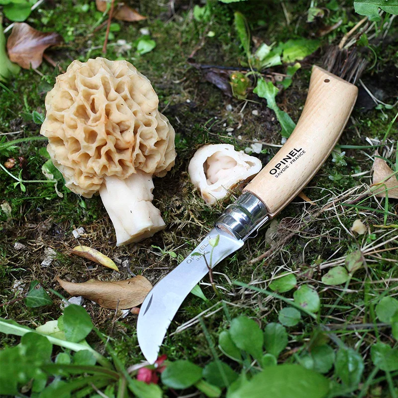 Navaja para setas Opinel Nº8