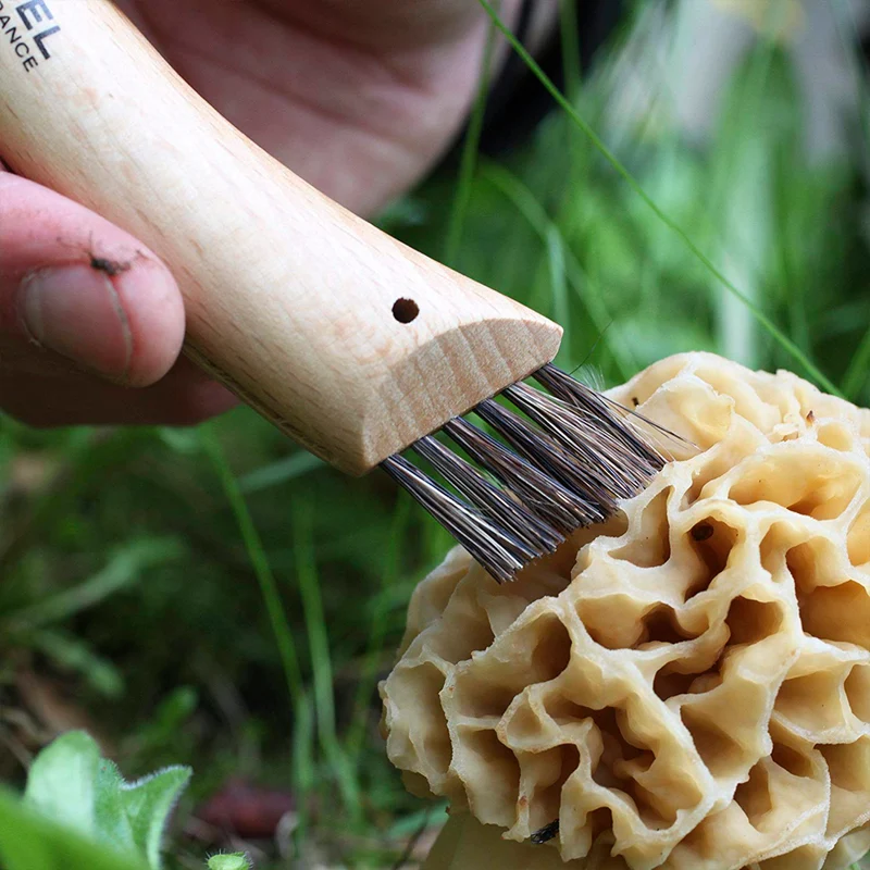 Navaja para setas Opinel Nº8