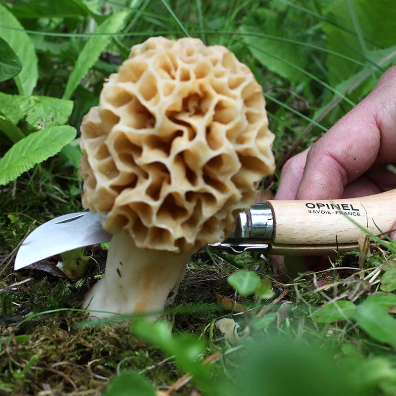Navaja para setas Opinel Nº8