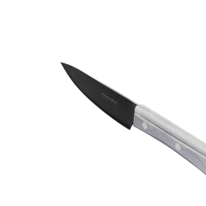 Coltello professionale cucina 12 cm