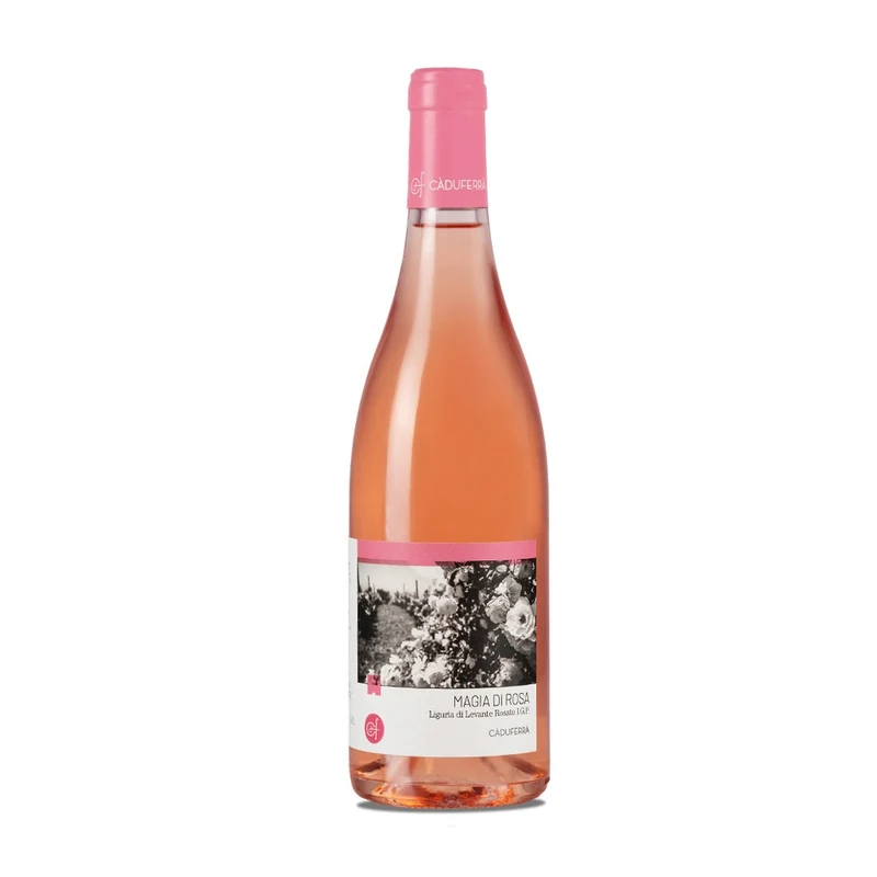 Magia di Rosa Rosato Liguria di Levante IGP 2024 - Cà Du Ferrà