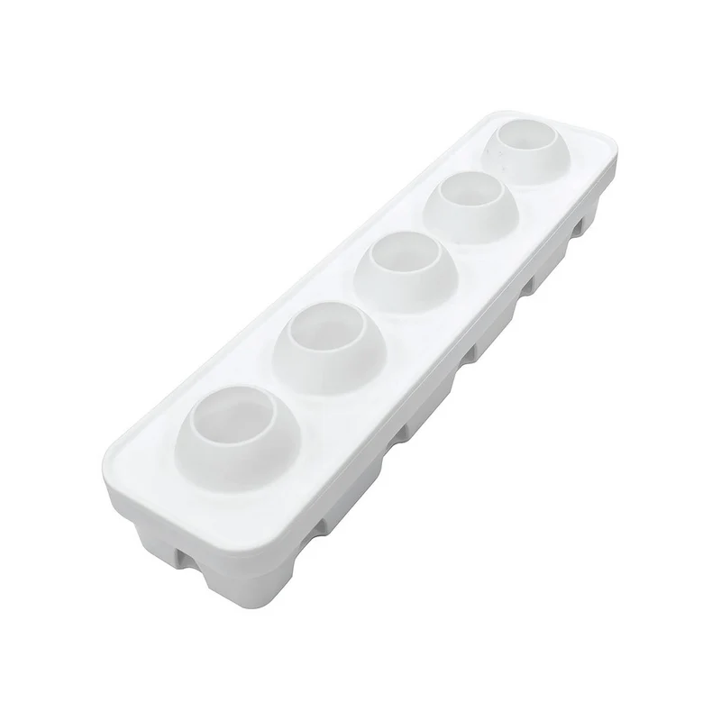 5 Forme - Nocciola 125 Stampo Dolci Frutta Realistica In Silicone Cutter Incluso