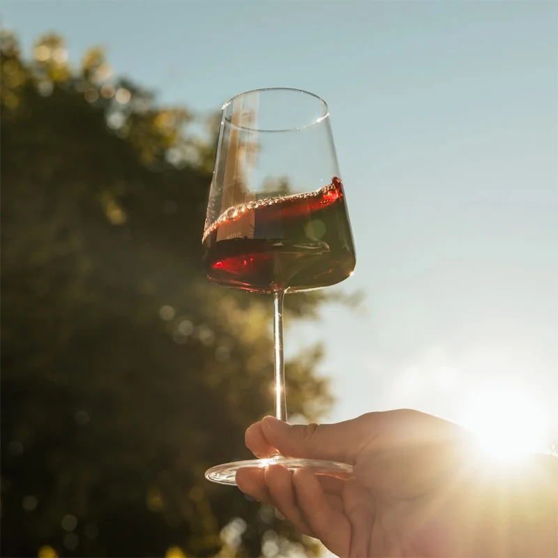 52 cl - Power Calice Vino Rosso in Vetro - Set 12 Pz