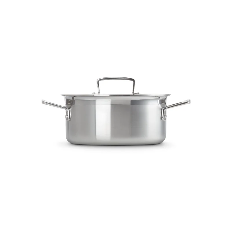Acciaio Inox Pentola Con Coperchio In Acciaio Inox