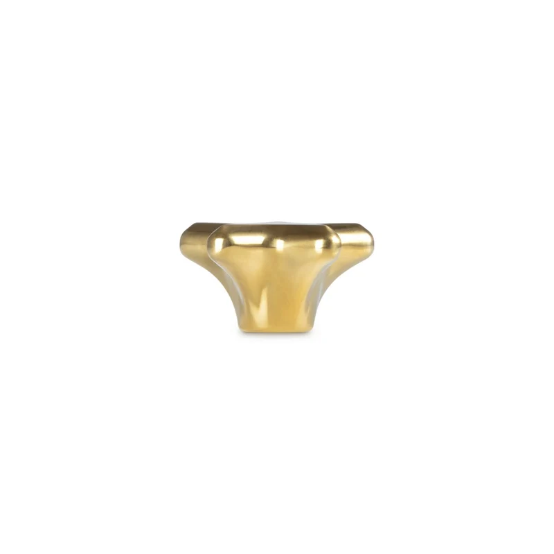 5.7 cm - Evolution Pomolo Stella In Acciaio Inox