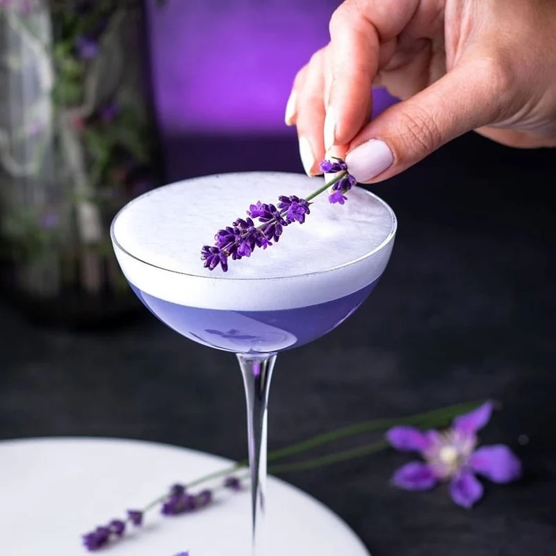 19.5 cl - Hepburn Calici Cocktail Coupe In Vetro Set 6 Pz